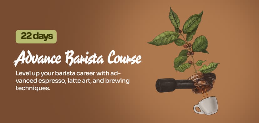 22 Days Advanced Barista Course